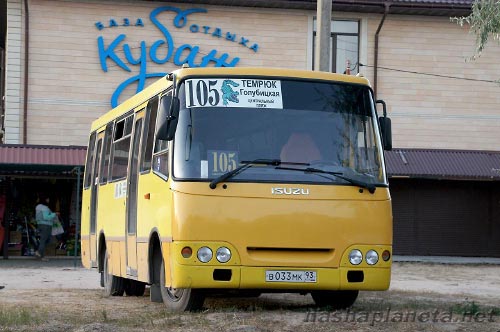 Автобус до Голубицкой
