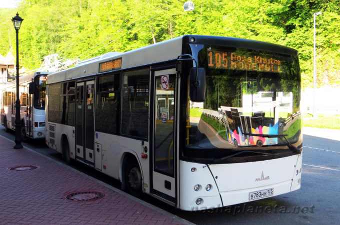 Автобус в Красную Поляну