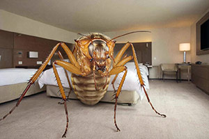 A giant, fantastical bed bug in a hotel